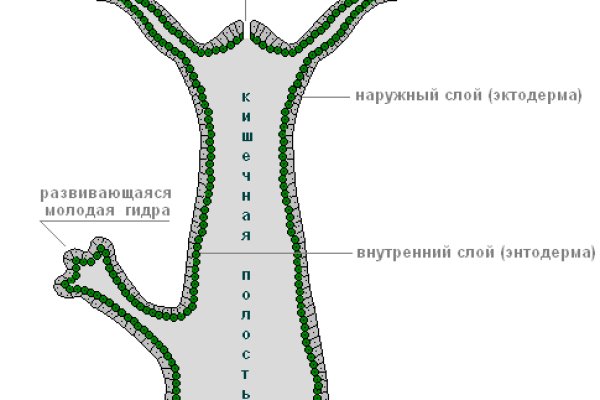 Кракен магазин krakens13 at